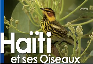 Notre Calendrier 2019 : « Haïti et ses oiseaux »