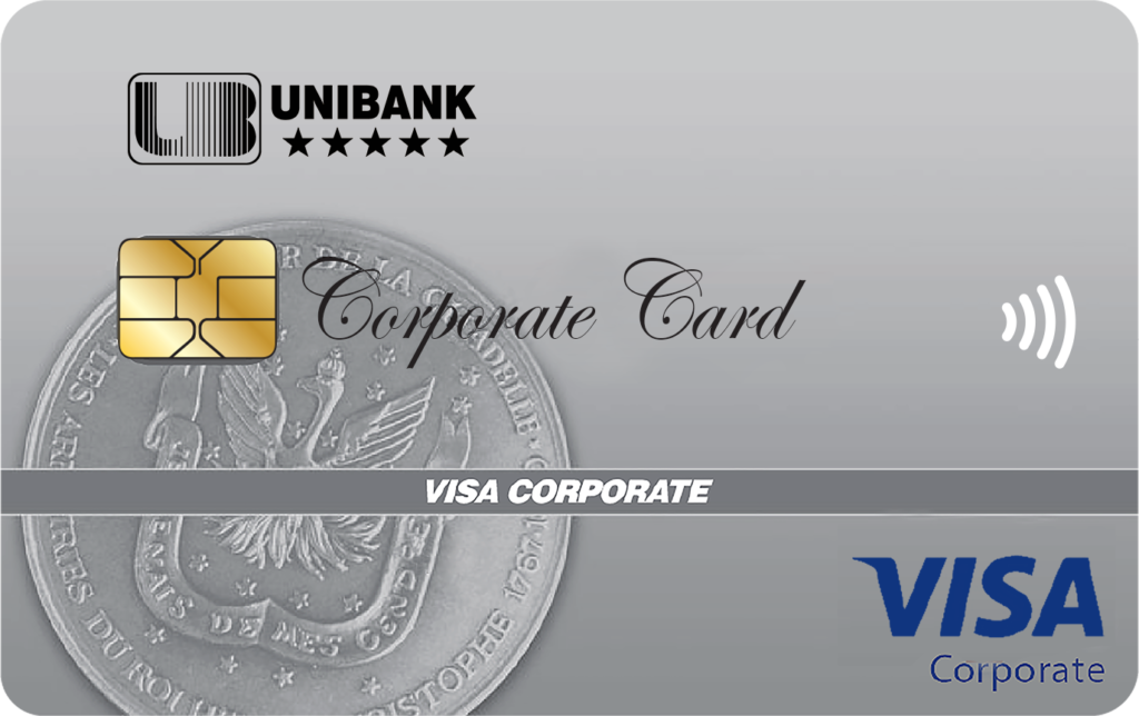 Visa CORPORATE (1)